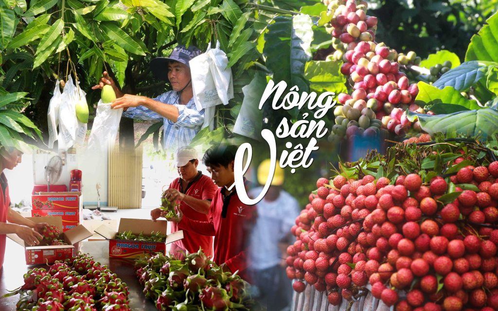 vận chuyển nông sản sang châu âu