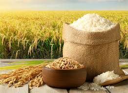 DỊCH VỤ VẬN CHUYỂN NÔNG SẢN BẮC – NAM AN TOÀN, ỔN ĐỊNH CÙNG VIETRAIL CARGO