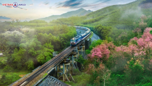 Đường Sắt: Đẩy Nhanh Tiến Độ Và Chất Lượng Các Dự Án