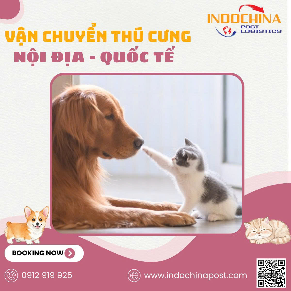 Vận chuyển thú cưng