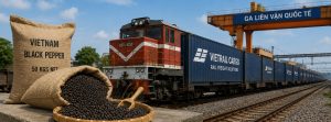 Vận chuyển hạt tiêu Việt Nam đi châu Âu bằng đường sắt