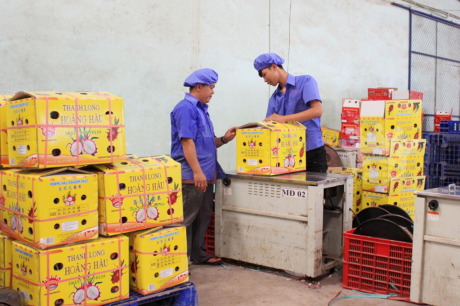 Vận chuyển thanh long bằng đường sắt