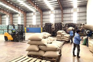 vận chuyển cà phê bằng đường sắt.